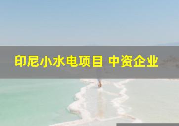 印尼小水电项目 中资企业